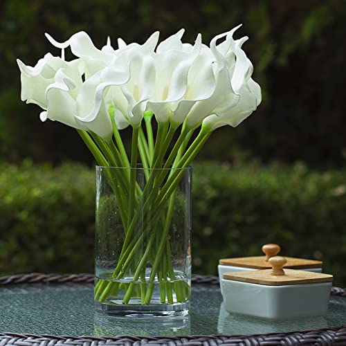 Enova Floral Clear Glass Cylinder Vase 6 x 10 Inches Round Flower Vase, Pillar Candle Floating Candle Holder Vase, Tall Glass Vase for Flowers, Glass Vase for Decor, Wedding Centerpieces (1 Piece) - size: 6W x 10H