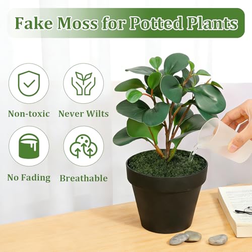dallisten Fake Green Moss for Plants Indoor, 5.3oz Artificial Moss for Crafts, DIY Fairy Garden Décor, Table Centerpieces, Wedding Floral Arrangements, Model Making & Indoor Outdoor Home Decoration - color: Dark Green