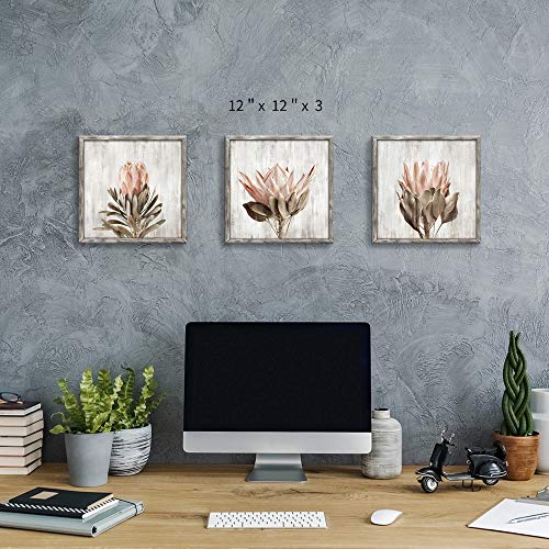 Pink Floral Wall Art Picture: Blossom Protea Flower Artwork Print on Rustic Wood Framed for Home Decor (12” x 12” x 3 Panels) - color: Wood Pink flower, size: 12'' x 12'' x 3 Panels
