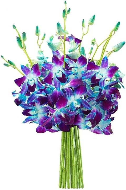 KaBloom-10 Blue Orchid Bouquet,Flowers for Valentine, Mother's Day - color: Blue, size: 10 count, style: Without vase