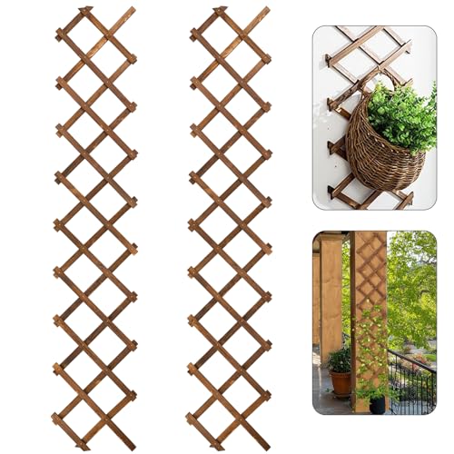 2Packs 13x78in Expandable Wood Wall Trellis for Climbing Plants Outdoor - Lattice Panels for Outside Indoor Balcony Patio Garden, Ideal for Ivy, Vines, Clematis, Roses - style: 2 packs