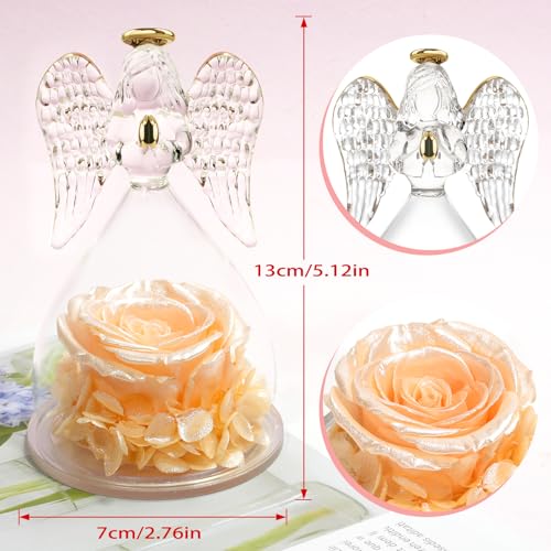 Miofula Gifts for Mom Birthday Gifts for Women, Preserved Flowers Rose in Glass Angel Figurines, Fresh Flowers for Delivery Anniversary Forever Real Roses Gifts for Mothers Grandma Her Wife Girlfriend - color: Pearlescent Champagne