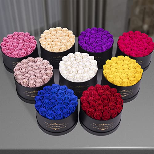 NATROSES Gifts for Her 27 Piece Forever Preserved Roses in a Box, Preserved Flowers for Delivery Birthday, Flowers Gifts for Mothers Day, Yellow - color: Yellow, size: 27 Roses