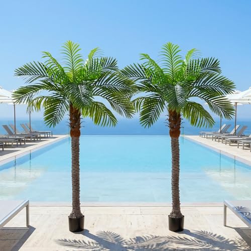6FT Artificial Coconut Palm Tree Set of 2, UV Resistant Faux Sago Palm Plants for Indoor Outdoor, Realistic Large Tropical Decor for Home Office Patio Poolside Garden, Ready to Use in Cement Pot - color: 6ft - 2 Pack, size: 6ft