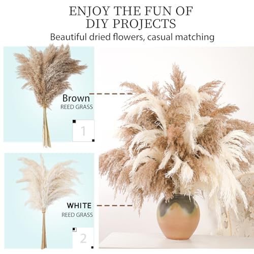 20 Stems 28" Large Brown Pampas Grass - Natural Fluffy Pompas Grass Bulk for Floor Vase - Boho Decor Home Wedding Event Decor, Gift - size: 20pcs brown