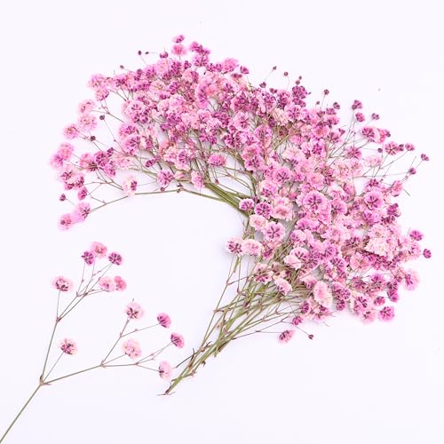 30 Pcs Pink Baby's Breath Real Dried Pressed Flowers.Vacuum-Packed Mini DriedBaby's Breath Flowe Specimen +1 Tweezers, for Resin Art /DIY Making Wedding Card/ Home Party Decor.