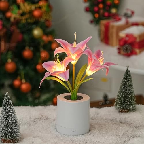WSYEAR Pink Morning Glory Flowers Table Lamp, Charging Dimmable Cordless Artificial Flower Night Light, Bedroom Office Decor Night Light, Christmas Birthday Gifts for Women Mom - color: Pink Morning Glory
