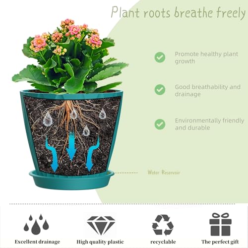 4 Inch Plant Pots, 6 Pack Indoor Flower Pots, Planters with Drainage Holes and Trays for Orchids, Violets, Succulents, Herbs, and Other Plants,Blue-Green - color: Blue-green, size: 4inch