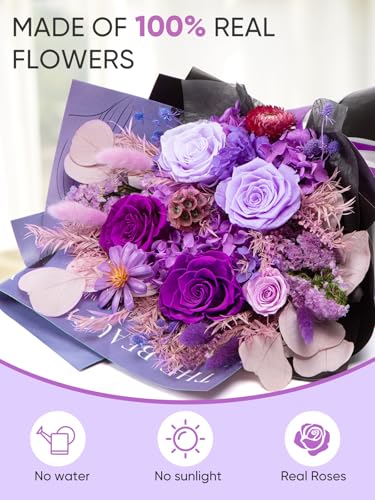 Bessol Flowers for Delivery Preserved Flower Bouquet Forever Fresh Flowers Birthday Gifts for Women Mom Anniversary Red Real Rose Gifts for Grandma Wife Girlfriend Sister Her from Daughter - color: Purple Preserved Flower Bouquet, size: Large