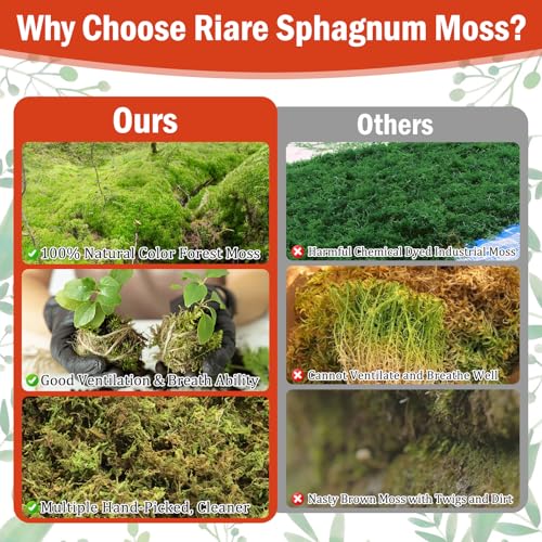 Riare 3.5OZ Premium Sphagnum Moss for Plants- 4QT Natural Dried Plant Moss for Potted Plants, Orchid Moss for Repotting, Soft Green Decorative Moss for Succulents, Reptiles & DIY Crafts - color: 4 QT(Appx.3.5oz)