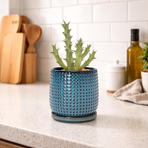 D'vine Dev 4 Inch Ceramic Beaded Stoneware Planter Pot - Flower Pot with Drainage Holes and Saucers for Indoor Succulent Plants or Flowers, Ocean Teal, 27-C-Z-8 - color: Ocean Teal, size: 4.3 Inch