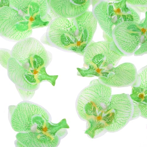 M METERXITY 20-Pack Artificial Orchid Flower Heads, Silk Faux Butterfly Flowers Head for Wedding/Bouquet/Bridal/Party Decor, Fake Phalaenopsis Petals Bulk [2.76 Inch, Green] - color: Green, size: 2.76 Inch