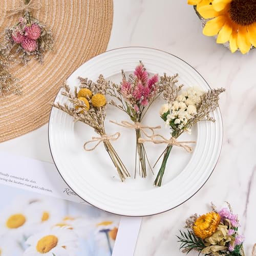 12/24 PCS Charming Dried Flowers Bouquet for Vase Various Dried Wildflowers with Stems Mini Handmade Wildflowers Natural Real Flowers Bulk Flowers Craft (Various Series, 12 PCS) - color: Various Series