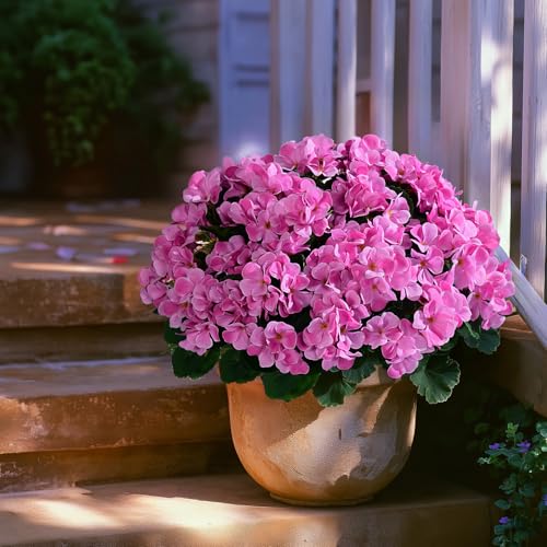 Artificial Crabapple Flowers for Outdoor 10 Pcs Artificial Chinese Flower Fake Flowers with Stems Silk Realistic Floral Arrangement for Front Door Porch Planter Patio Balcony (Pink) - color: Pink