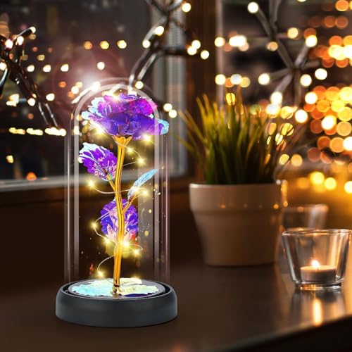 Otlonpe Mothers Day Flowers Gifts for Mom from Daughter Son, Preserved Forever Glass Light Up Rose Gifts for Grandma Wife Women Girlfriend Sister, Teacher Appreciation Graduation Gift for Her (Purple) - color: Purple
