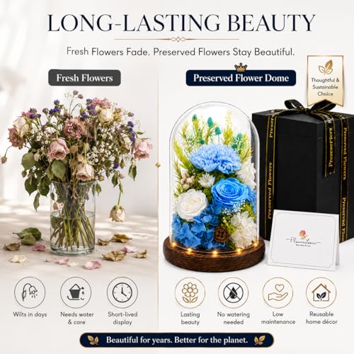 Preserved Flowers in Glass, Preserved Rose with 1 Carnation & 2 Roses, Eternal Real Flowers for Women Mom Grandma, Forever Rose Bouquet for Anniversary Birthday Mother's Day Lasts 3-5 Years - color: Blue