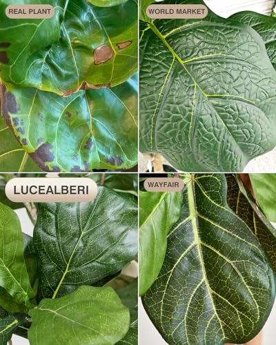5.5FT Artificial Fiddle Leaf Fig Tree Faux Indoor | Large Tall Fake Trees with White Planter, Ficus Lyrata Floor Plants for Home Decor Office Living Room Housewarming - color: 5.5ft Green