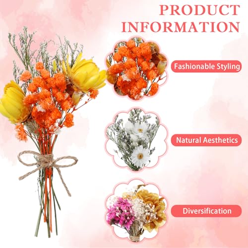 10/12/24 Pack Dried Flowers for Vase Various Mini Bouquet Dried Small Wildflowers Natural Real Flowers Bulk for Crafts DIY Wedding Decor (12, Flowers Blooming1) - size: Flowers Blooming1