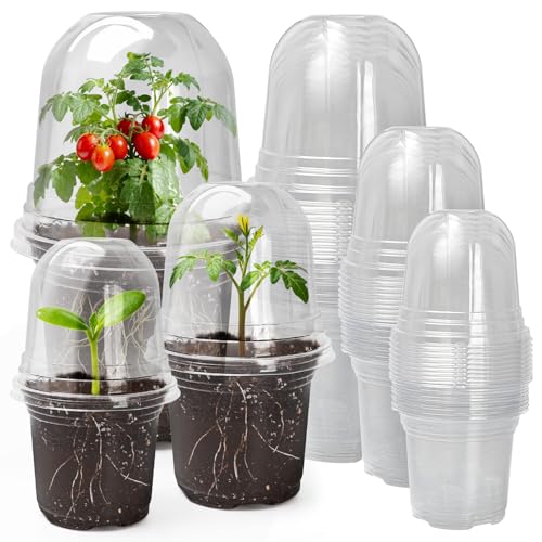 MIXC Clear Nursery Pots with Humidity Domes, 5/4/3.5 Inch Reinforced Transparent Plastic Pots for Planting with Drainage Holes for Seedlings, 30 Pack - color: Transparent, size: 3.5/4/5 Inch-with Lid
