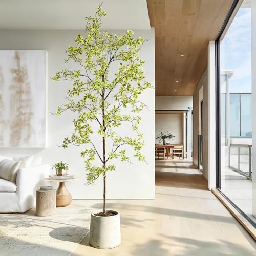 Erimda Faux Black Olive Tree 8ft, Faux Plants Indoor Large Tall Tree Artificial Shady Lady Tree with Natural Wood Trunk & Realistic Leaves, Fake Olive Plant for Home Office Indoor Decor - color: White, size: 8ft
