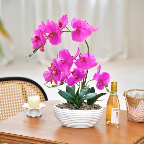 19" H Phalaenopsis Faux Orchid Plant Silk Orchid Centerpiece Artificial Floral Arrangement in Ceramic Pot (Fuchsia) - color: Fuchsia