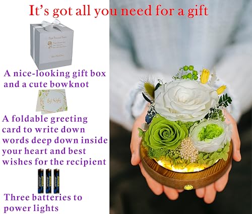 Valley of Rain & Forest Long-Lasting Real Flowers, Unique Floral Gift For you to send Love for All Occasions, for Indoor Decoration (White & Green Roses Arrangement) - color: White Rose, Green Rose