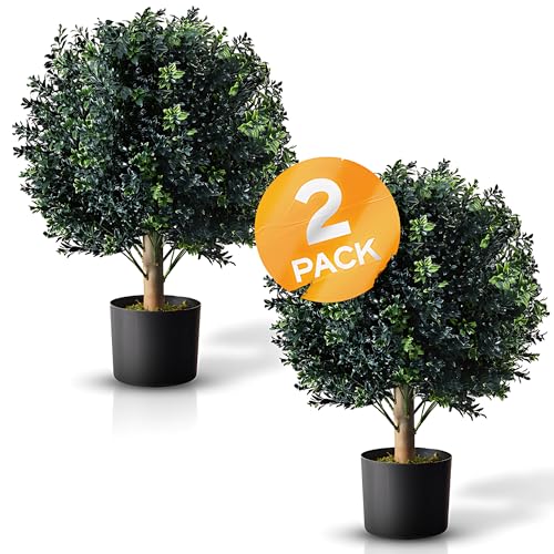 BOTARO TRESIL Set of 2 - Pre-Potted 24" High Ball Shaped Boxwood Topiary- 16" Diameter - Plastic Pot - size: 23"