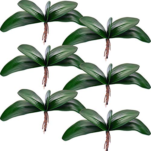 Chuangdi 6 Pcs 10.9 Inch Faux Orchid Leaves Artificial Orchids Leaves Phalaenopsis Stems Leaf Green Leaf Plants Green Faux Stem Latex Cymbidium Stems for Flowers Arrangements Pot Decoration - size: 10.9 Inch