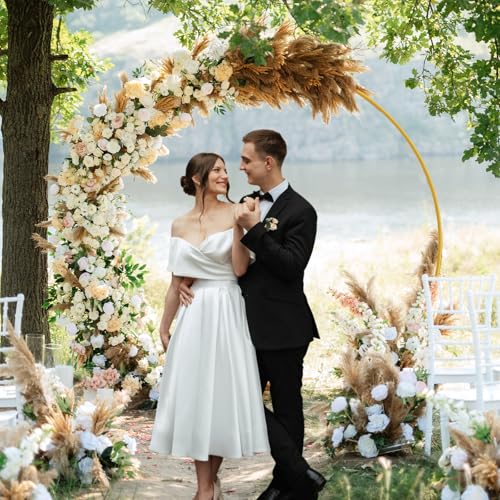 7.2ft Round Backdrop Stand Circle Gold Balloon Arch Metal Wedding Backdrop Ring Stand Frame for Party Birthday Baby Shower Flower Decorations Ceremony Anniversary Bridal - size: 7.2FT