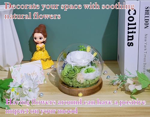 Valley of Rain & Forest Long-Lasting Real Flowers, Unique Floral Gift For you to send Love for All Occasions, for Indoor Decoration (White & Green Roses Arrangement) - color: White Rose, Green Rose