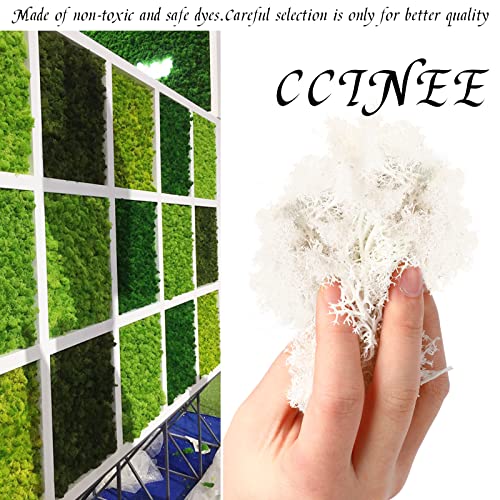 CCINEE Moss Preserved, 4 OZ Fake Reindeer Moss for Potted Plants for Craft Arts Floral Wall Decor Wedding Centerpieces Fairy Garden Artificial Terrariums Decoration for Christmas(White) - color: White