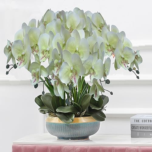 FagusHome 32 Inch Artificial Phalaenopsis Flowers 6 Pcs Artificial Orchid Flowers Stem Plants for Home Décor (Light Green), FH1000143 - color: Light Green