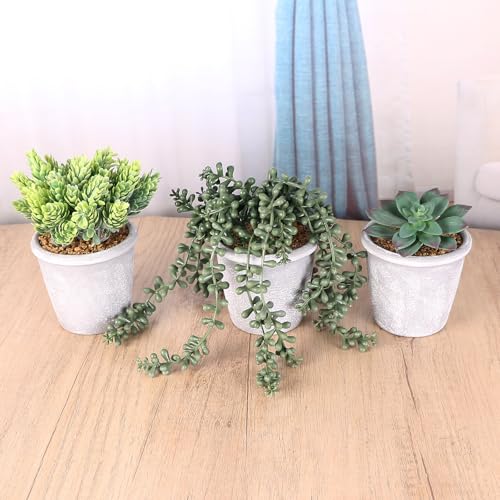 COTSEN 3 Pcs Artificial Succulents Potted Plants Assorted Fake Succulents Potted for Family Office Garden Interior Decor