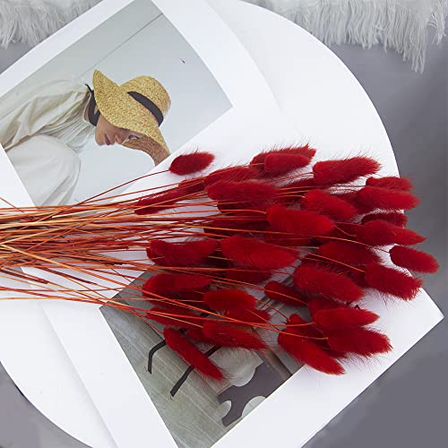 60pcs Dried Bunny Tails Flowers Red Pampas Grass Natural Dried Floral Arrangement Dry Flowers for Christmas Halloween Boho Decor Home Wedding DIY Craft Decoration (16")… - color: Red