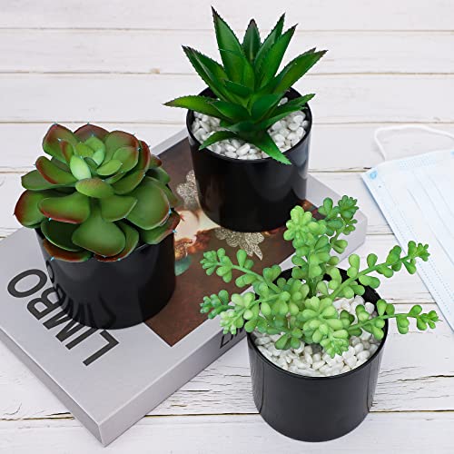 Hopewood Artificial Succulents Faux Potted Plant Decor, Small Fake Plants in Black Pot, Realistic and Lifelike for Book Shelf, Desk Decor, Home Office, Kitchen, or Bathroom Decor - Pack of 3 - color: Faux Plants-black
