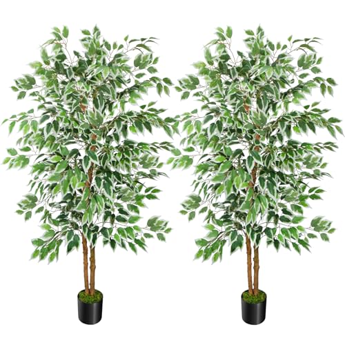 GTIDEA 2 Pcs 5ft Ficus Artificial Trees, Tall Faux Trees with Natural Trunk, Fake Silk Tree Artificial Plants for Home Decor Indoor Living Room Outdoor Balcony House Office (Included Dried Moss) - color: 5ft Ficus Tree-2pack (No Vase)