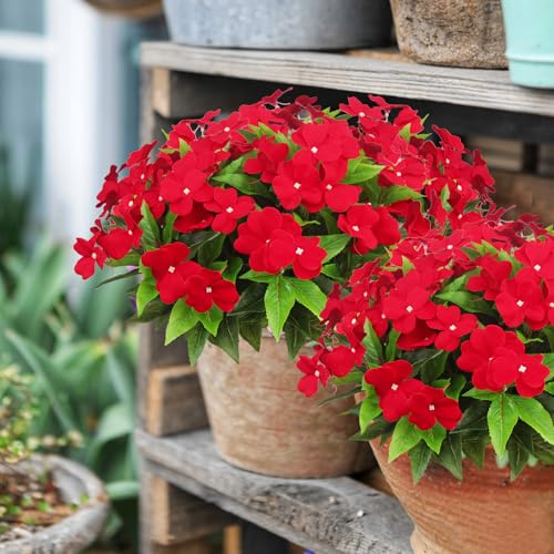 CITYES 4 Pcs Artificial Flowers Outdoor Impatiens UV Resistant Silk Impatiens Flowers Red Faux Flowers Impatiens Bushes Artificial Impatiens for Pot Patio Lawn Garden Hanging Basket Porch Decor - color: Red