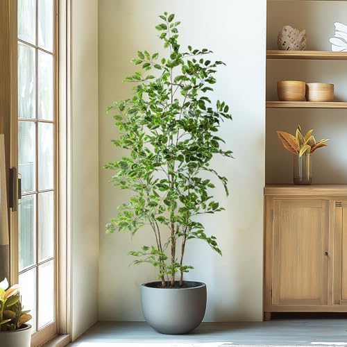 Bailikang Artificial Ficus Tree Indoor 6ft, Large Potted Faux Tree with Realistic Silk Leaves & Trunk for Home Office, Living Room Corner Decor - color: White Green, size: 6ft