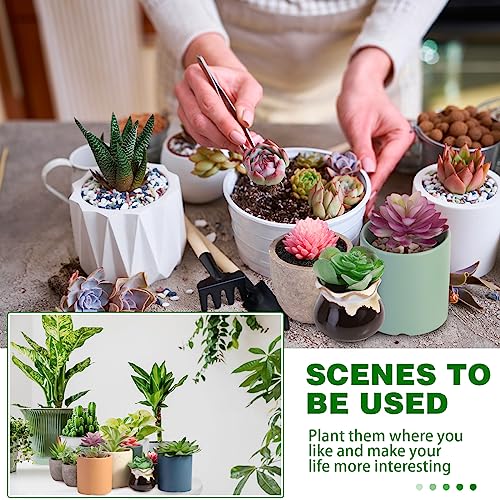 WILLBOND 50 Pcs 50 Pcs Bulk Mini Artificial Succulents Plants Assorted Unpotted Realistic Plants Fake Textured Succulent Picks Realistic Plastic Cactus Stems for Garden Home Decor (Large Style) - color: Large Style