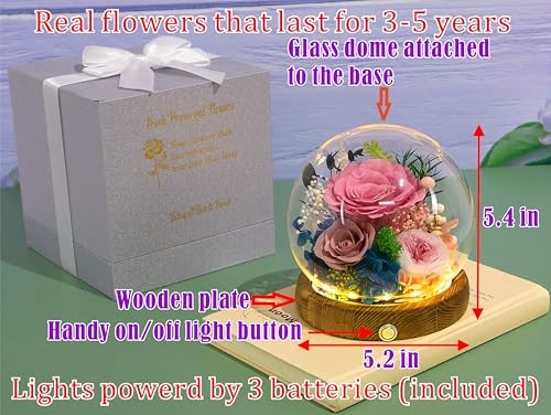Valley of Rain & Forest Long-Lasting Real Flowers With Delivery | Unique Floral Gift For You to Send Love for All Occasions, Aesthetic Home Decor (Forever Preserved Pink Rose Arrangement) - color: Sweet Pink Rose, Cappuccino Rose, Austin Rose