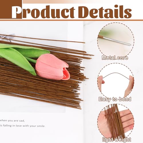 CCINEE 18 Gauge Brown Floral Stem Wire, 100 PCS Paper Wrapped Florist Wire for Crafts Artificial Flower Making, 14 inch - color: #18 Brown, size: #18