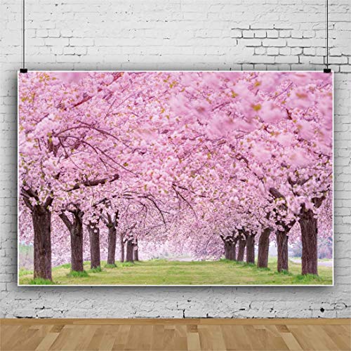 Cherry Blossom Flowers Backdrop for Photography 5x3ft Spring Scenery Cherry Blossom Wedding Bridal Shower Background Girls Women Portrait Themed Party Decor Picnic Banner Studio Props Vinyl - size: 5x3ft