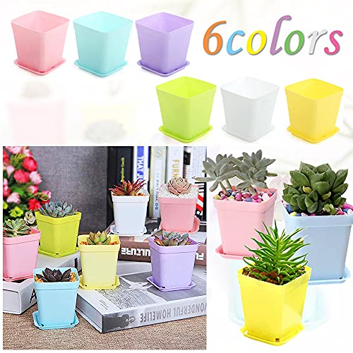 Haawooky 48 PCS 3 Inch Colorful Plastic Plant Pot,Plastic Square Nursery Pots,Seedling Nursery Pots with Saucers for Garden,Home,Office,Balcony Decor,Garden Gifts - size: 48 pack