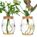 2 Pcs Propagation Vases, Tabletop Plant Terrarium for Propagating Hydroponic, Glass Terrarium Vase Jars, Home Kitchen Decorations and Gifts for Plant Lovers - size: 4.2" L x 4.2" W x 5.2"H