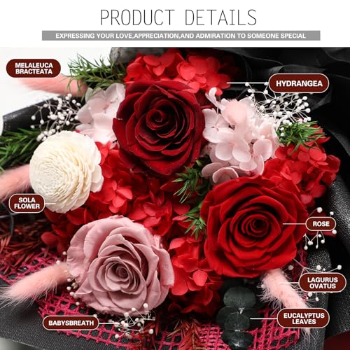 Casaido Preserved Flowers for Delivery, Mothers Day Red Flower Bouquets with Necklace, Forever Real Roses Anniversary Birthday Valentines Day Christmas Rose Gifts for Women Mom Wife Girlfriend - color: Red