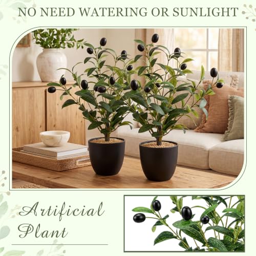 Giegxin 2 Pack 15.8 Inch Small Artificial Olive Tree Indoor 40cm Faux Olive Plant with Black Pot for Home Office Room Table Modern Decor - color: Black
