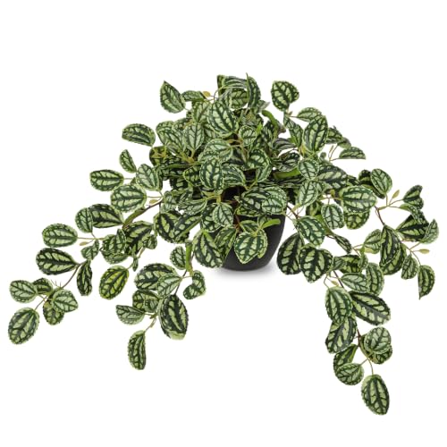Briful Artificial Potted Plant Indoor, 19.6" Faux Watermelon Peperomia Trailing Plant in Black Pot, Realistic Fake Plants with Cascading Green Leaves for Shelf Bathroom Office Desk Kitchen Home Decor - color: Dark Green Grid