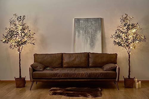 LITBLOOM Lighted Olive Tree 6FT 300 Fairy Lights with Timer and Dimmer, Artificial Tree with Lights for Office Home Room Decoration Indoor Outdoor - style: 6FT Olive