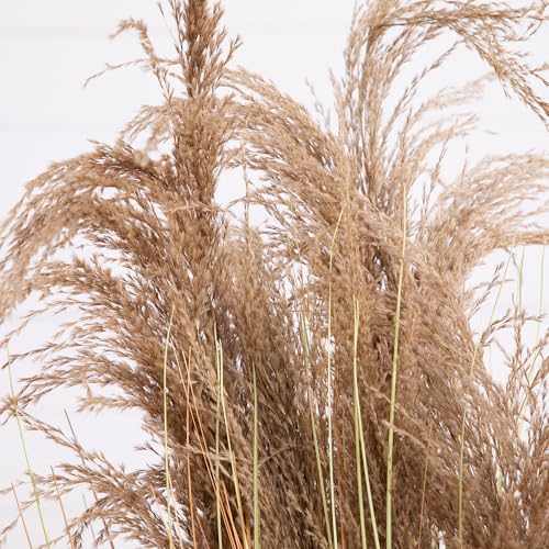 Nearly Natural 4ft Artificial Pampas Grass – Lifelike Indoor Faux Plant for Home Décor
