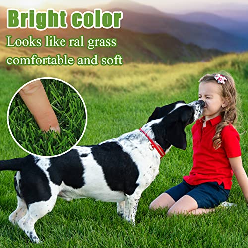 Bsmathom Artificial Grass Rug Indoor Outdoor Rug, Professional Dog Potty Training Rug, Fake Grass Rug Synthetic Grass Mat Door Mats with Drainage Holes for Balcony Patio Garden (2x10Ft) - size: 2x10 Feet